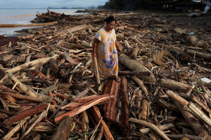 Kayu Banjir Sumatera 'Berbicara', Kemenhut Curigai Skema PHAT Jadi Kedok Illegal Logging
