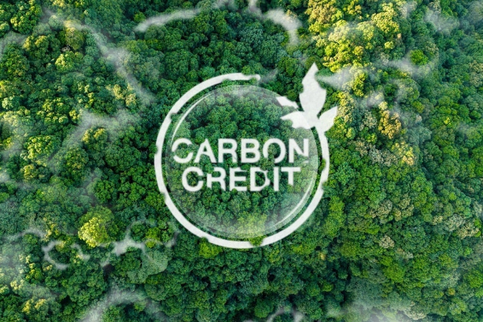 Dengan berbagai inisiatif pemerintah dan kesiapan internal perusahaan, PT Integra Indocabinet Tbk. (WOOD) berada dalam posisi strategis untuk menjadi pelaku utama dalam ekosistem pasar karbon global.